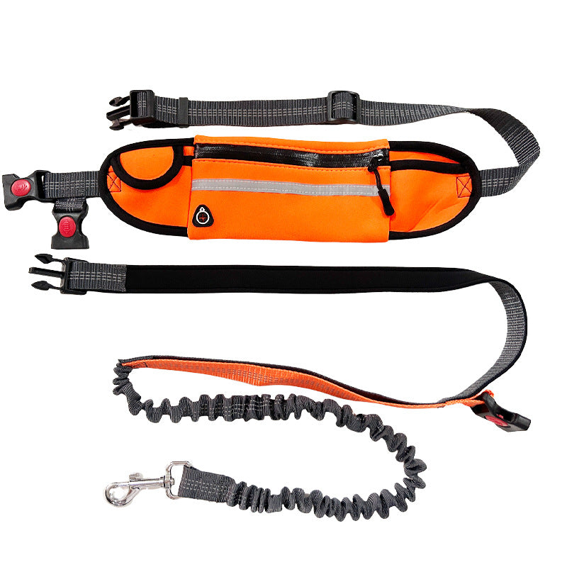 Hands-Free Leash – Freedom for You and Your Dog
