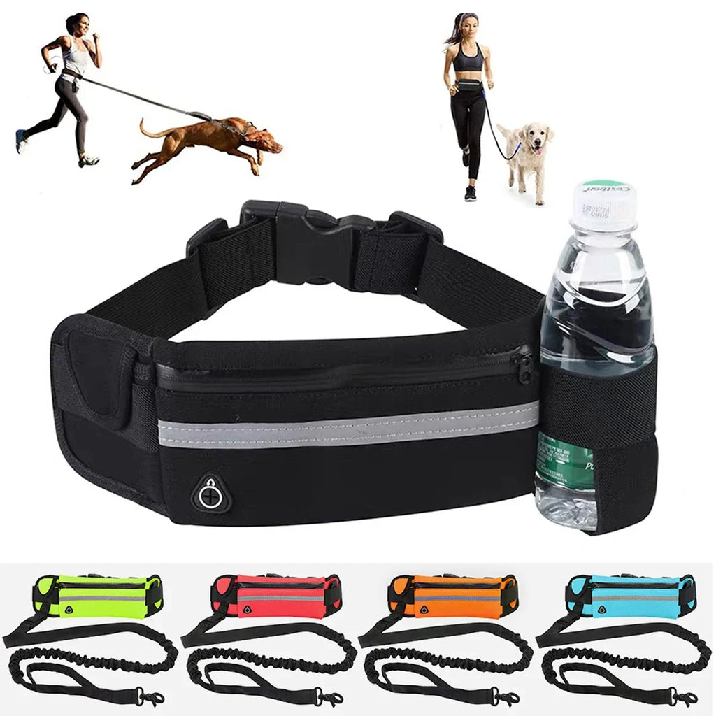 Hands-Free Leash – Freedom for You and Your Dog