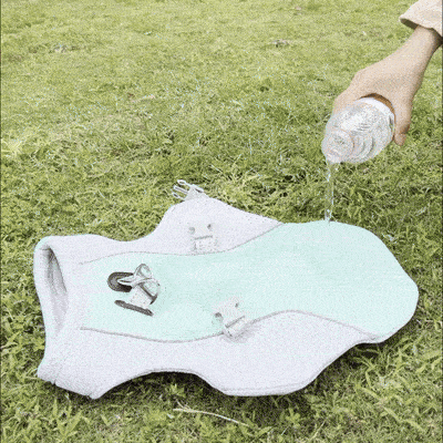 Cooling Harness for Dogs and Cats