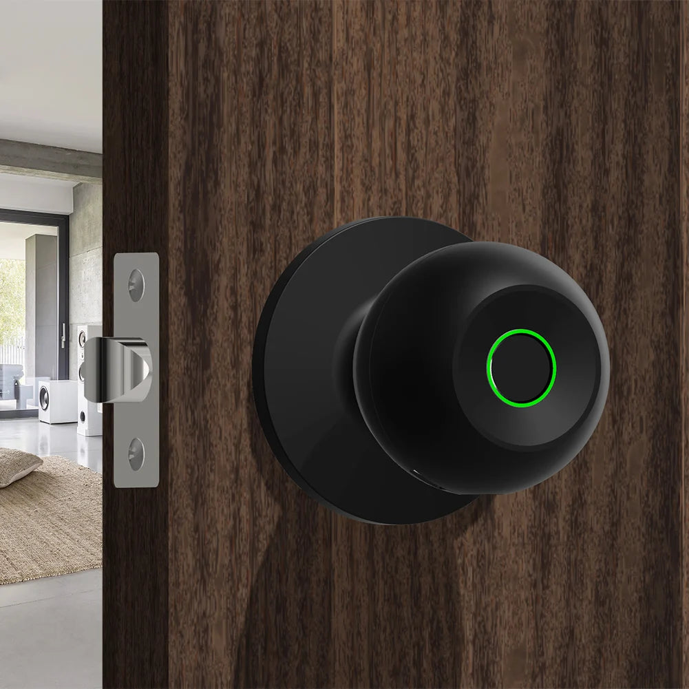 Smart Handle with Smart Lock