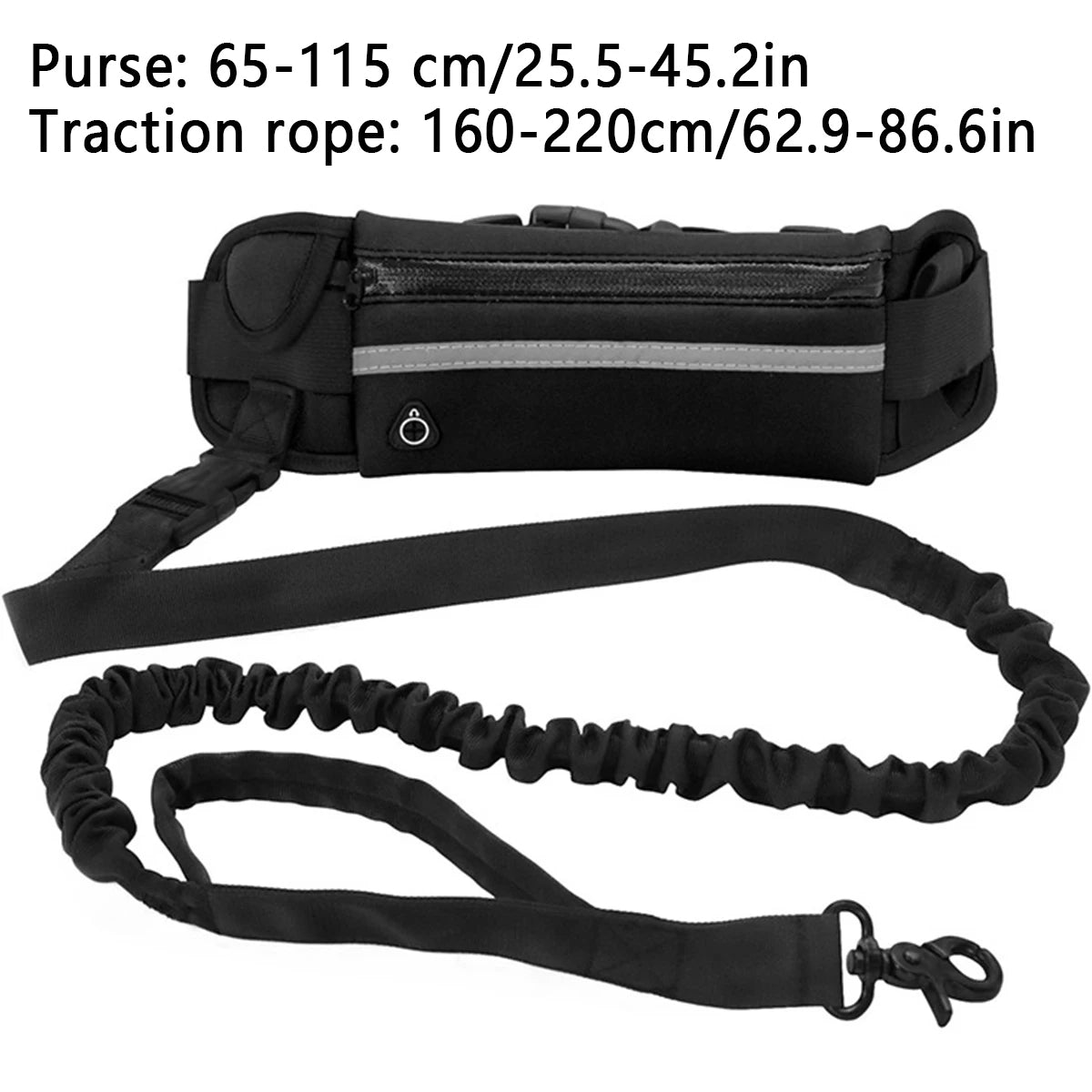 Hands-Free Leash – Freedom for You and Your Dog