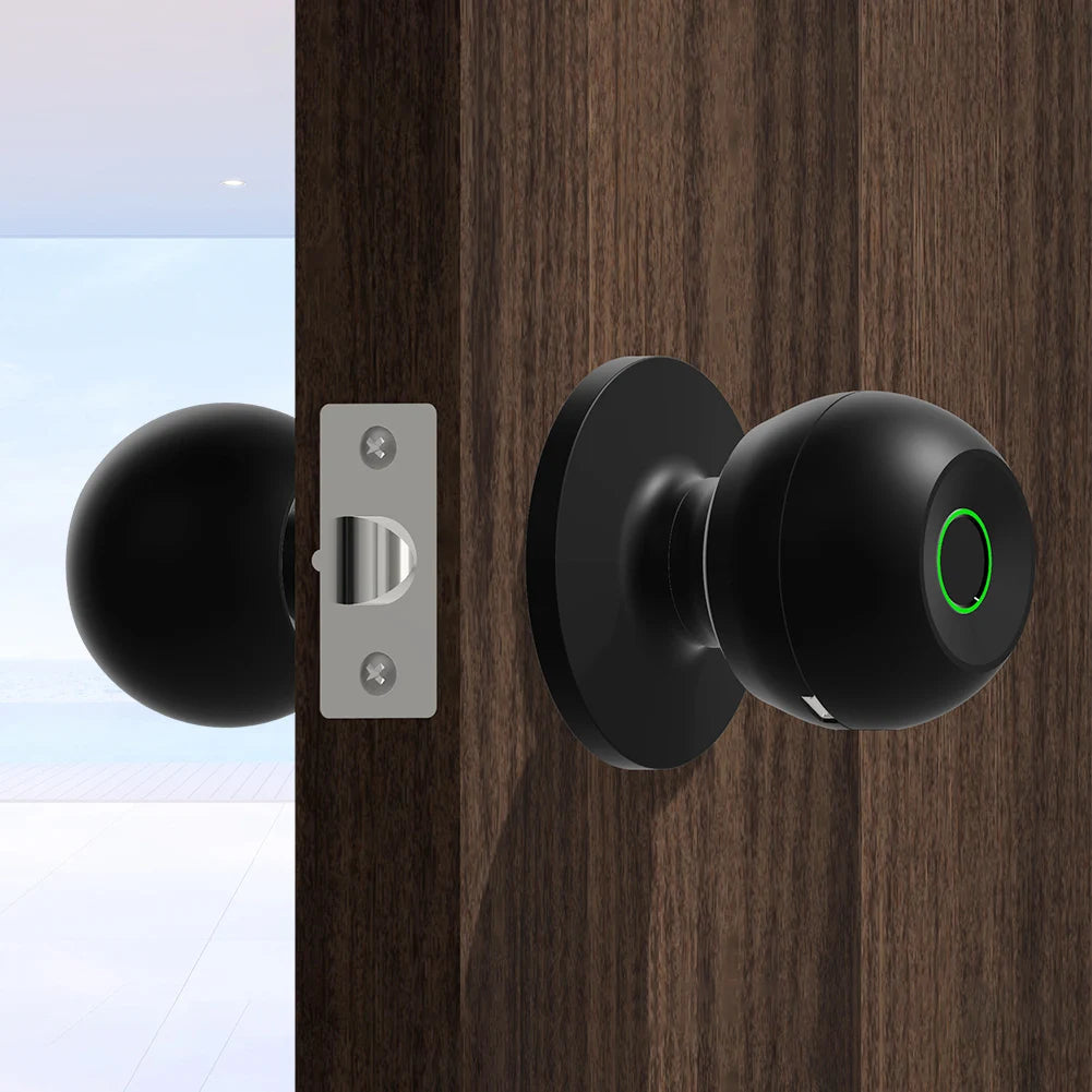 Smart Handle with Smart Lock